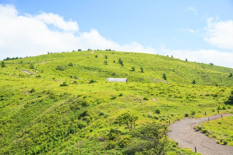 s-AdobeStock_277288587